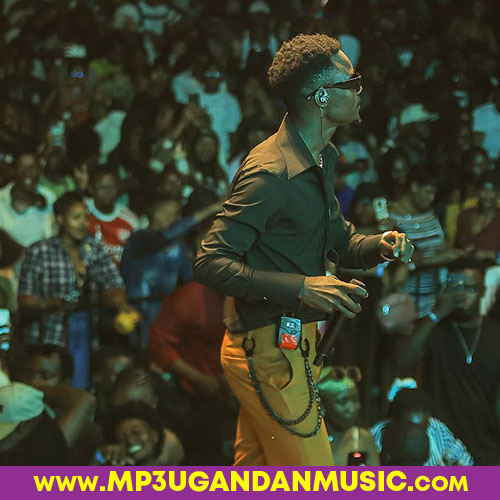 No Stress-Ray G x Heli Baibe